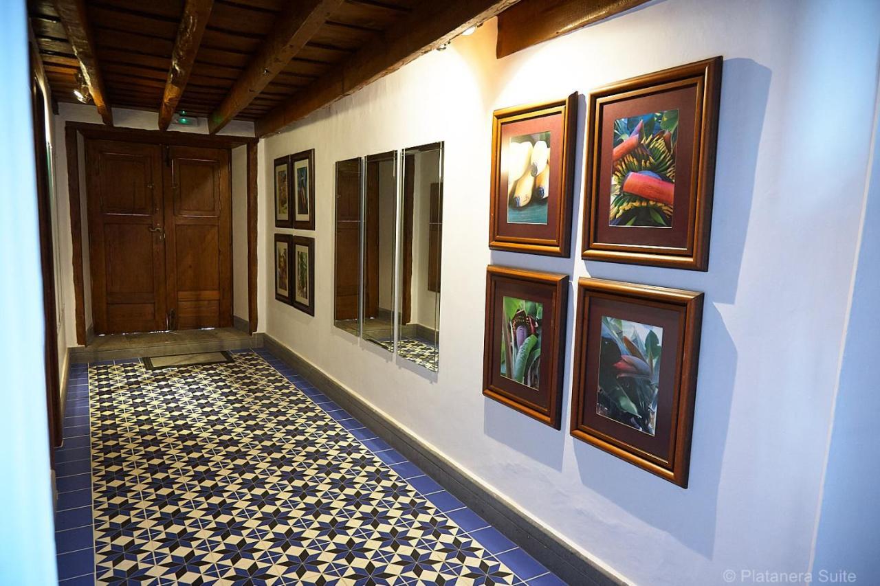 Platanera Suites Icod De Los Vinos Exterior foto